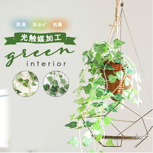 観葉植物 ポトス 壁掛けの人気商品 通販 価格比較 価格 Com