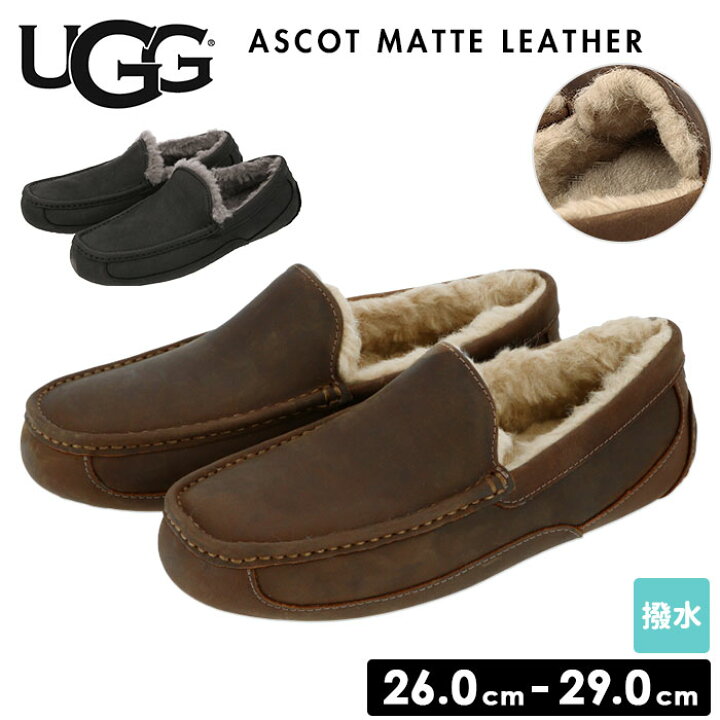 楽天市場 Ugg メンズ スリッポン 定番 天然皮革 本革 モカシン シープスキン ウール 防寒 あったか アグ Ascot Matte Leather アスコット マットレザー 歩きやすい おしゃれ 靴 紳士靴 シューズ Backyard Family 雑貨タウン