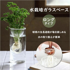 花瓶 ガラス 定番 ガラスベース KEGY4070 BULB VASE バルブベース ロング ガラス花器 かわいい 水栽培 容器 おしゃれ 球根 液肥 かわいい 敬老の日 プレゼント 母の日 ギフト オシャレ インテリア 雑貨