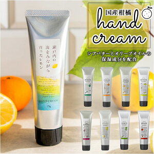 nhN[   nhPA ێN[ 킢 Yk O[vt[c WW[ 䂸   ɗ\ ~jMtg { zCgf[ ̓ v[g M