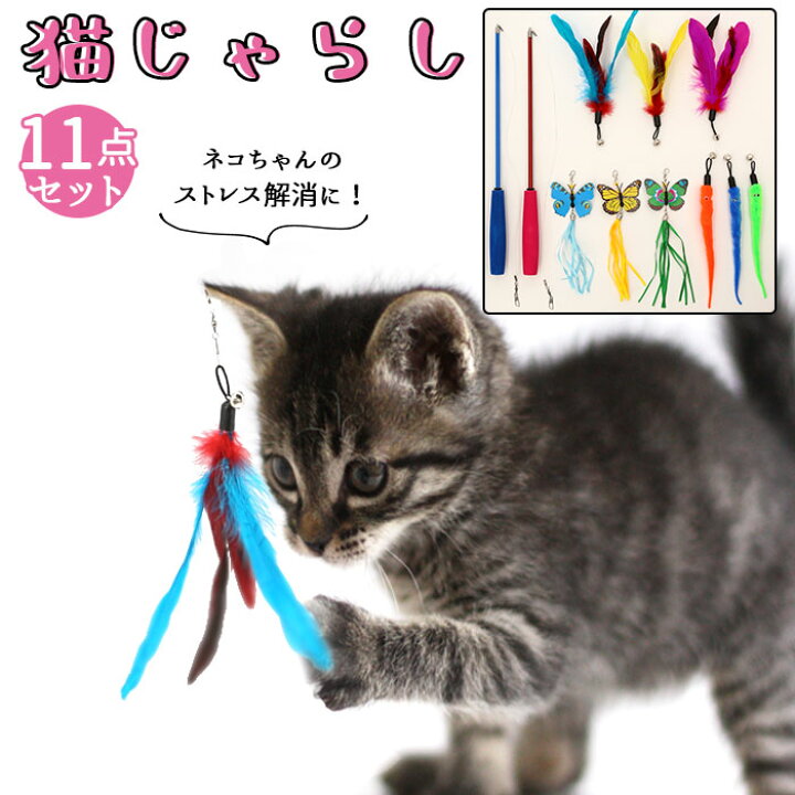 楽天市場】ねこじゃらし 猫用品 定番 猫おもちゃ ネコじゃらし 