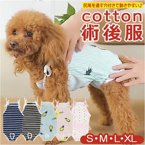 犬 パンツ 犬用ペット服の人気商品 通販 価格比較 価格 Com