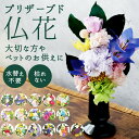 仏花 プリザーブドフラワー 仏壇 定番 供養 暦 四季 供え花 献花 プリザ 長持ち 飾り かわいい 仏壇用 お墓参り お供え お盆 進物 法要