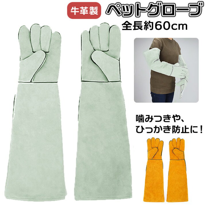 楽天市場 ペット 噛みつき 手袋 定番 ひっかき 防止 ケガ 保護グローブ ペットグローブ 噛みつき防止 しつけ 牛革 鳥 オウム 爬虫類用品 安全 いぬ イヌ 犬用品 猫用品 ねこ ネコ ロング ペット用品 雑貨 グッズ Backyard Family 雑貨タウン