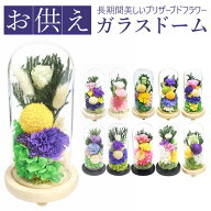 プリザーブドフラワー 仏花 定番 お供え物 光莉 ひかり お供えガラスドーム おしゃれ 枯れない 水やり不…