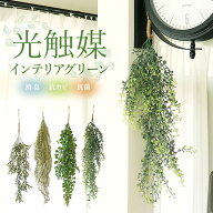 光触媒 フェイクグリーン 定番 CT触媒 グリーンブッシュ 観葉植物 フェイク 吊り下げ ハンギング 消臭 抗…