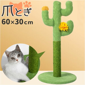 L ܂Ƃ |[  ܌ ߂Ƃ Lbg^[ ܂Ƃ|[ ܌|[  TCU T{e ڂĂ ˂ lR Lbg  CeA Lp܂Ƃ ܂Ƃpi L