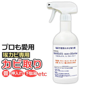 Jr JrLbNXmN?  t̃Xv[ Xv[ Jr KABIKICKS |p |pi |p Ɩp ʔ Ƌ N[[bg \y ^X  ߗ Jo  C Jr 