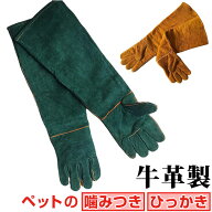 [楽天ランキング3位獲得!]ペット グローブ 手袋 定番 噛みつき 噛みつき防止 ペット用グローブ 厚手 しつ…