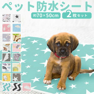 ybg͂V[g  ybgV[c 2Zbg Zbg  ͂V[g gCV[g }i[ObY ybgV[g gC}bg gC }bg Ck   ˂ lR L V[c V[g 