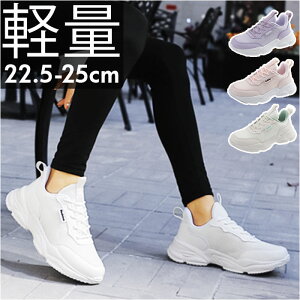 y Xj[J[ fB[X  WMOV[Y jOV[Y EH[LOV[Y X|[cV[Y V[Y JWAV[Y ^C wlC y ׂ~ 