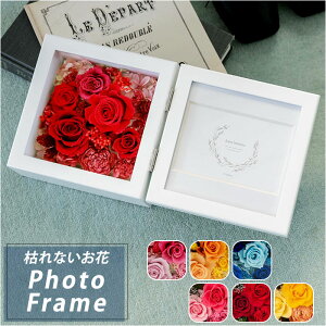 vU[uht[ ʐ^    {bNX Mtg tHgt[  t[Mtg a Mode [h 蕨 j ͂Ȃ  킢 j җj hV