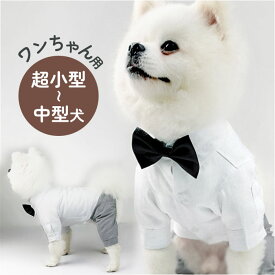 ペット 服 シャツ 犬 いぬ 定番 礼服 スーツ フォーマルスーツ フォーマル おしゃれ ペット服 犬服 セット 犬の服 ドッグウェア ペットウェア 前開き 男の子 ボタン 上品 柔かい やわらかい かわいい 可愛い ウエディング 結婚式 お祝い
