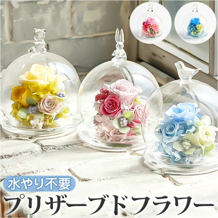 楽天市場】プリザーブドフラワー ガラスドーム 定番 プリザード  