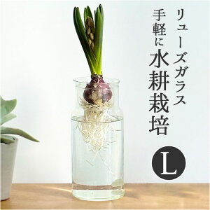 t[x[X KX  t[|bg ԕr  [YKX ou {g L KX{g Ԃт H 19cm 傫 TCNKX   ϗtA K[fjO x_ 