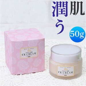 ێN[  CXgN[ XLPA ێ CE N[ 50g  pPA  PA  AKIC Ƃ  Sg XLN[  { SaharaKN T