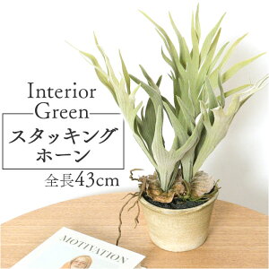 ϗtA tFCN ^  RE A[eBtBVO[ tFCNO[ X^bOz[ CeAO[ lHϗtA 傫 A |bg rO fBXvC 