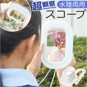 CC g勾 [y  p[y pg勾 XR[v [yXR[v p XR[v ANAXR[v ώ@ 25{  ォ炩Ԃ g ܂肽 ܂