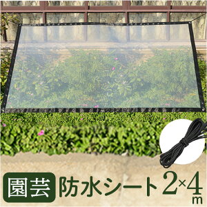K[fjO |V[g [vt 2m×4m  tB V[g hV[g V[g Jo[ J悯 یV[g ی A 悯   rj[ ܂肽 ܂
