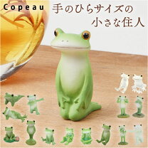 楽天市場】コポー ダイカイの通販
