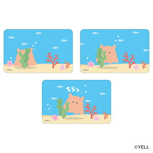 Ԃȓ ObY  ܂SݓXXebJ[ XebJ[ Ԃȓ̒ԒB 4947864058517 Ԃȓ̒ԒB05 X}zXebJ[ V[ XebJ[V[ 킢  JCC 