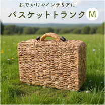楽天市場】ウェルカムスペース トランクの通販