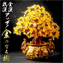 楽天市場】招財 樹の通販