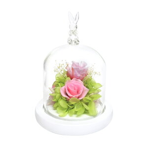 vU[uht[ KXh[  ԃMtg AWgt[ `[th[AWg  ͂Ȃ sv j җj hV̓ ̓ a v