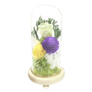 vU[uht[     Ђ KXh[  ͂Ȃ sv @  ~  ފ d  G CeA