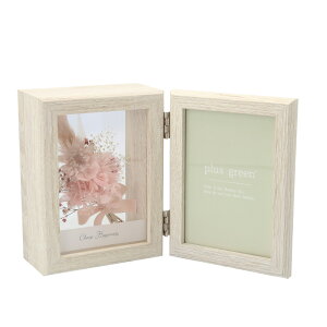 plus green vX O[ tHgt[  vU[uht[ ʐ^ hCt[  t[ ʐ^ a j 킢  CeA 蕨 Mtg j LO