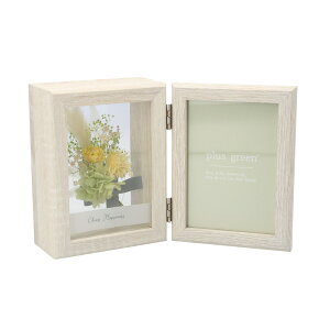 plus green vX O[ tHgt[  vU[uht[ ʐ^ hCt[  t[ ʐ^ a j 킢  CeA 蕨 Mtg j LO