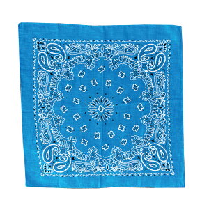 o_i ʔ XJ[t  BANDANNA }XN nJ` ^[o Xq  fBXvC ANZT[  Y fB[X Mtg 蕨