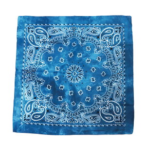 o_i ʔ XJ[t  BANDANNA }XN nJ` ^[o Xq  fBXvC ANZT[  Y fB[X Mtg 蕨