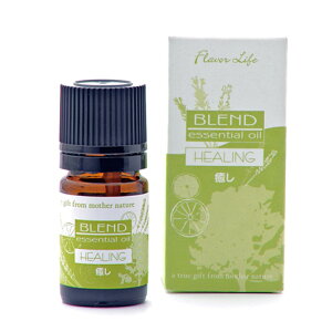 GbZVIC A}es[  VR  A} bNX F IC uh 5mL t[o[Ct Flavor Life rO Q  Mtg 蕨