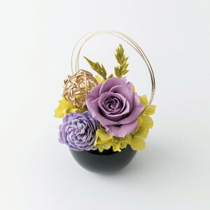 Temari Ă܂ t[AWg  ͂Ȃ vU[ht[ vU[uht[   AWg  t[ ̓ hV̓ a Mtg j LO 蕨