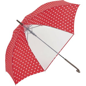 P LbY 58cm  JP 58Z` P  Au q qǂ ̎q q OXt@Co[  t ʊw oZ w w wZ wN 킢  Vv J 