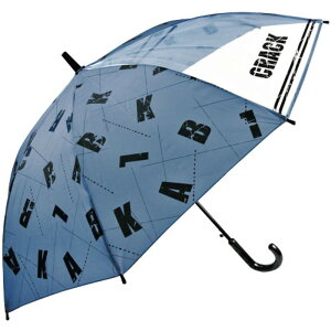 P qp 55  w P WvP LbY q ǂ qǂ j̎q jq j  t 1R}  55cm 55Z` Wv ʊw oZ JP J v OXt@Co[ L