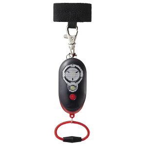 hƃuU[ qǂ [d ʔ hƃA[ 剹 97db hZ ̎q j̎q LbY q y y SCg LEDCgt h ho IP66 SCghƃuU[ sJi EBB257 C