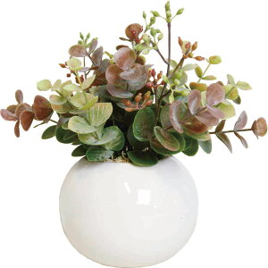 G} tFCNO[  CTG} Eh|bgL ϗtA tFCN   L R h C C~e[VO[ rO   킢 V CeA