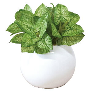 G} tFCNO[  CTG} Eh|bgL ϗtA tFCN   L R h C C~e[VO[ rO   킢 V CeA