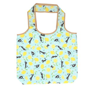 エコバッグ 保冷 定番 保冷バック エコバック 保冷バッグ トートバッグ ミニバッグ 折りたたみ ランチバッグ コンパクト ファスナー おしゃれ 折り畳み かわいい 手提げ レディース のあぷ