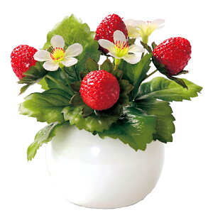 G} ϗtA  A  CeAO[ tFCNO[ ~j   ͂Ȃ  RpNg Eh|bg ی^ C~e[VO[ L  C