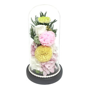  vU[uht[ dp   AWgt[ uU[uht[  KXh[AWg ݉ ފ ~ @ @v {  Q ͂