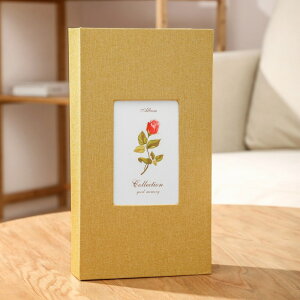 tHgAo 300  tHg ʐ^ Ao z \ [  j̎q ̎q q  킢 fUC  蕨 Mtg