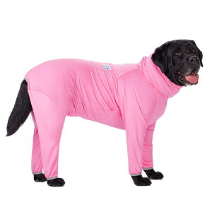 ^ Ȃ   hbOEFA Jo[I[ bVK[h hbOEGA  ̕   Ck  ĕ p C   V 킢 