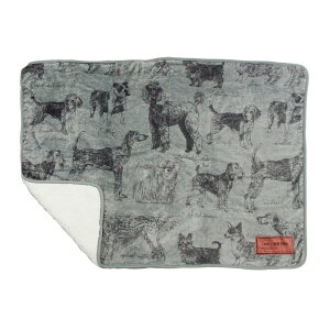 uPbg Ђ|  Ђ G| G| 炩 Ȃ߂炩 {A ێ G肪ǂ  tl   킢 RpNg