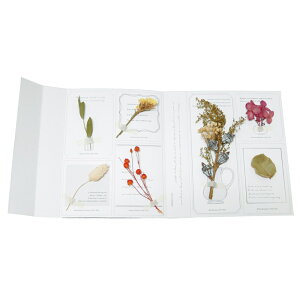 K[h    K[hubN hCt[ ԏ a p[eB[ rO fBXvC ʐ^Be Ǌ| Ǐ Vv  JtF X O[oA[