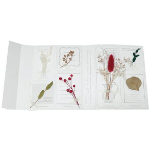 K[h    K[hubN hCt[ ԏ a p[eB[ rO fBXvC ʐ^Be Ǌ| Ǐ Vv  JtF X O[oA[