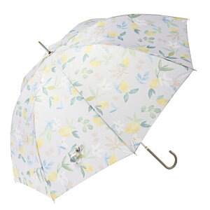 �j�t�e�B�J���[�Y ���P ��� ��J�� ���f�B�[�X nifty colors �P 58cm �J�P ���� �J�T 8�{�� �h�[���^ UV�J�b�g ���J ���p �y�� �y�� ������� ���킢�� ��v �O���X�t�@�C�o�[ �e�� �ʋ� �ʊw ��l 
