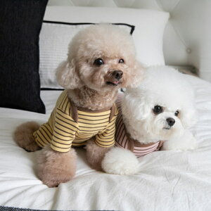 ybg  p[X  ybgEFA  ̕ hbOEFA Ȃ p㕞   Ck L ˂ lR   Xgb` {[_[ H ~ pW}  IV 킢 J